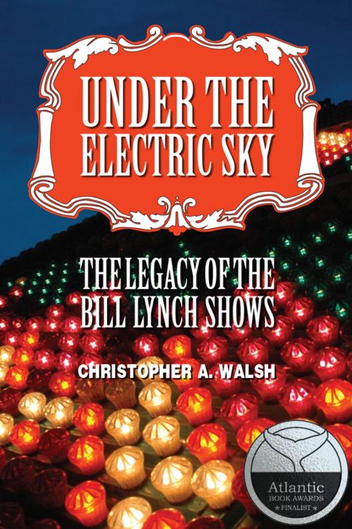 Cover of the book Under the Electric Sky by Christopher A. Walsh, Christopher A. Walsh