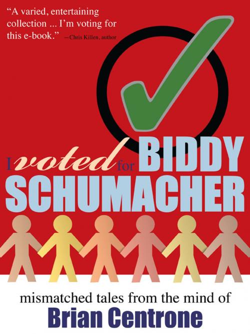 Cover of the book I Voted for Biddy Schumacher by Brian Centrone, New Lit Salon Press