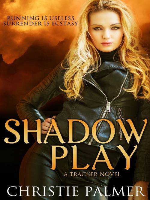 Cover of the book Shadow Play by Christie Palmer, Christie Palmer