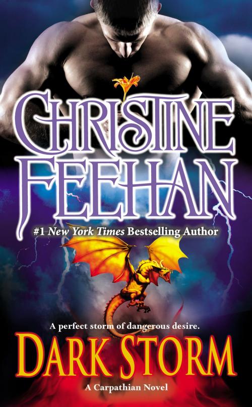 Cover of the book Dark Storm by Christine Feehan, Penguin Publishing Group
