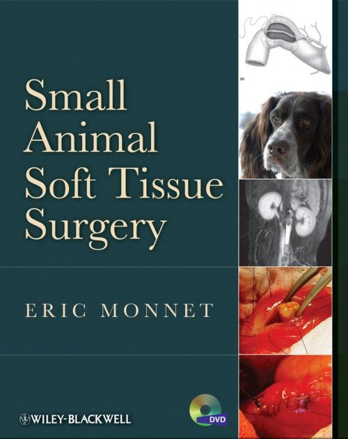Cover of the book Small Animal Soft Tissue Surgery by , Wiley