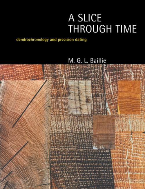 Cover of the book A Slice Through Time by M.G.L. Baillie, Taylor and Francis