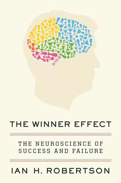 Cover of the book The Winner Effect by Ian H. Robertson, St. Martin's Press