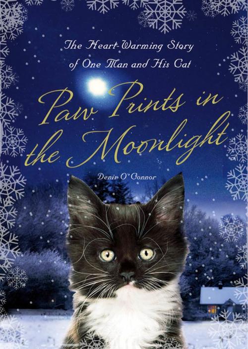 Cover of the book Paw Prints in the Moonlight by Denis O'Connor, St. Martin's Press