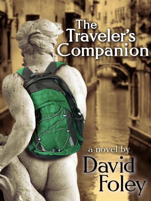 Cover of the book The Traveler's Companion by David Foley, David Foley