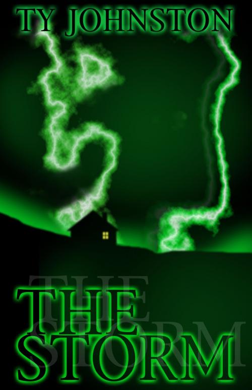 Cover of the book The Storm by Ty Johnston, Ty Johnston
