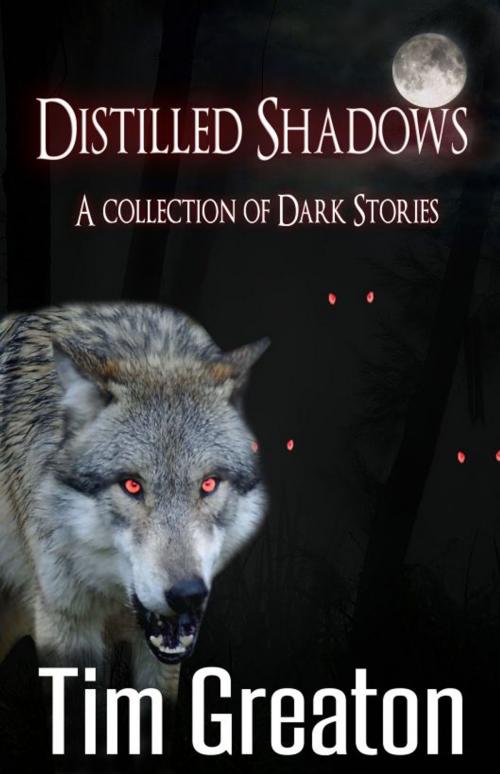 Cover of the book Distilled Shadows by Tim Greaton, Focus House Publishing