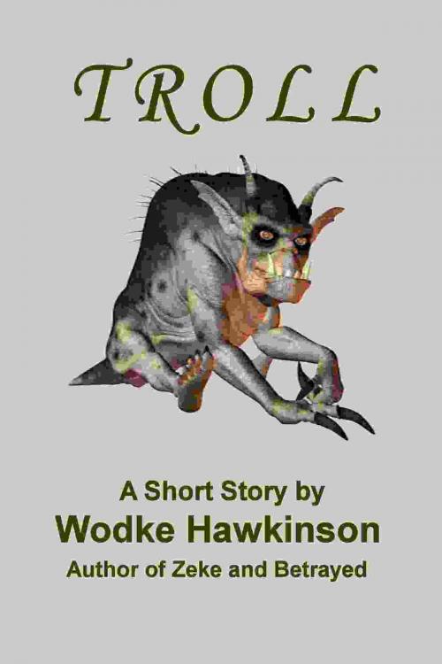 Cover of the book Troll, A Short Story by Wodke Hawkinson, Wodke Hawkinson