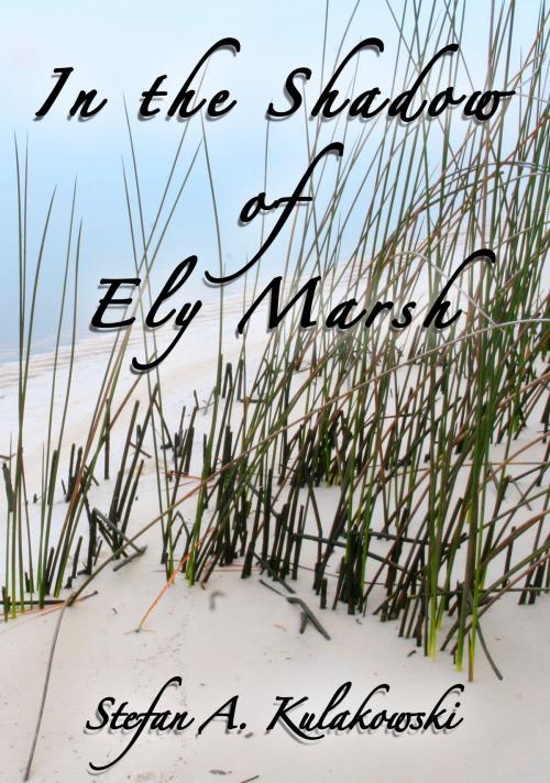Cover of the book In the Shadow of Ely Marsh by Stefan Kulakowski, Stefan Kulakowski