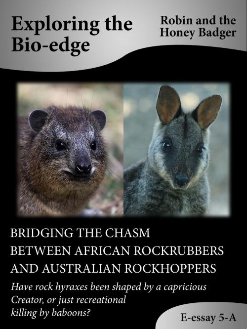 Cover of the book Bridging The Chasm Between African Rockrubbers And Australian Rockhoppers by Robin and the Honey Badger, Robin and the Honey Badger