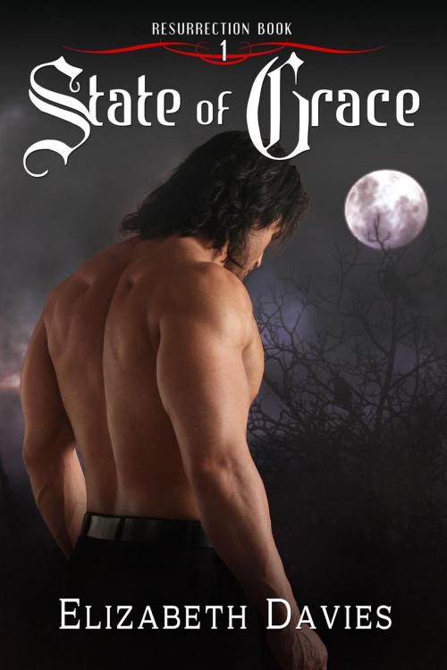 Cover of the book State of Grace by Elizabeth Davies, Elizabeth Davies