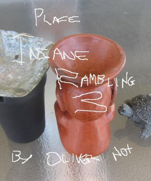 Cover of the book Insane Remblings 3: Place by Oliver Nox, Oliver Nox
