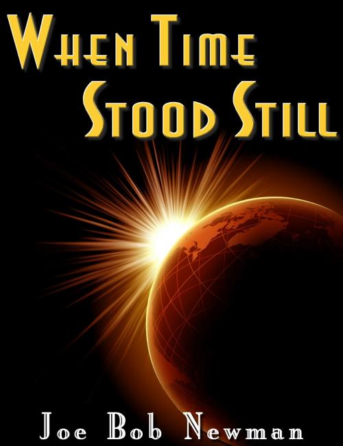Cover of the book When Time Stood Still by Joe Bob Newman, Joe Bob Newman