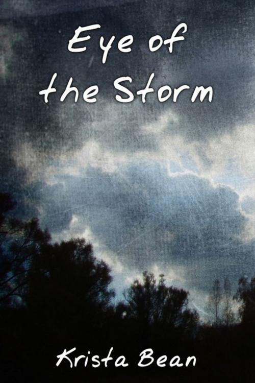 Cover of the book Eye of the Storm by Krista Bean, Krista Bean