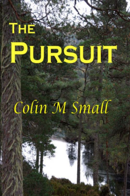 Cover of the book The Pursuit by Colin Small, Colin Small