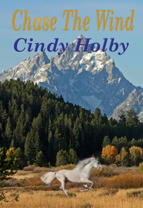 Cover of the book Chase The Wind by Cindy Holby, cindyholbybooks