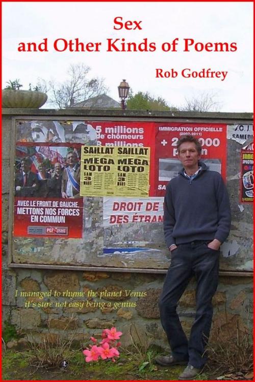 Cover of the book Sex and Other Kinds of Poems by Rob Godfrey, Rob Godfrey
