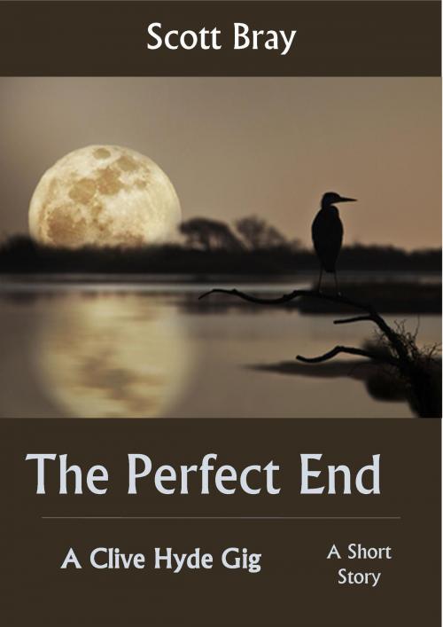 Cover of the book The Perfect End by Scott Bray, Scott Bray