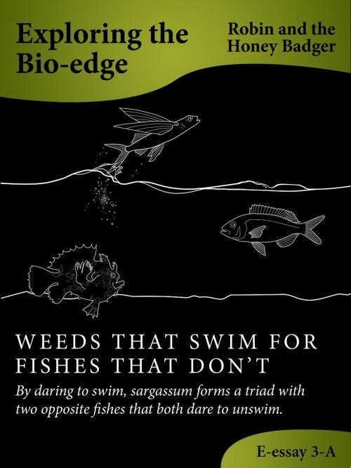 Cover of the book Weeds That Swim For Fishes That Don’t by Robin and the Honey Badger, Robin and the Honey Badger
