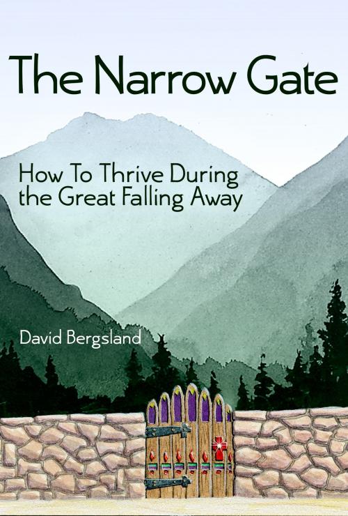 Cover of the book The Narrow Gate by David Bergsland, David Bergsland