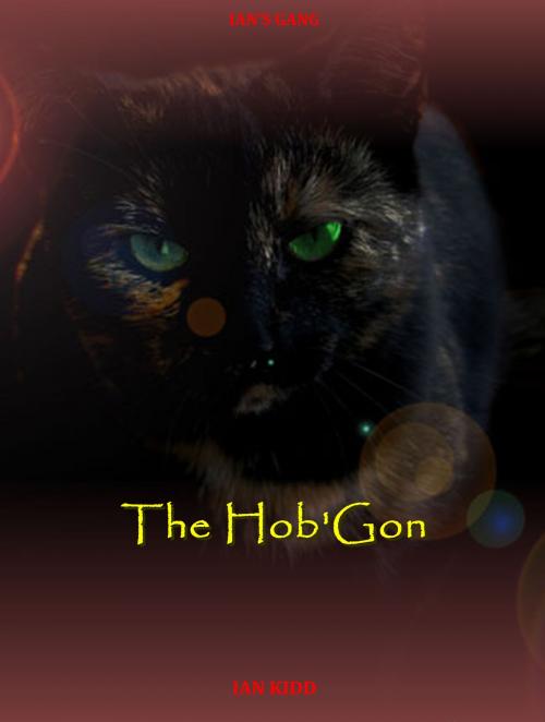 Cover of the book Ian's Gang: The Hob'Gon by Ian Kidd, Ian Kidd