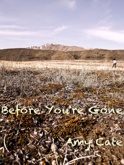 Cover of the book Before You're Gone, Book 1 by Amy Cate, Amy Cate