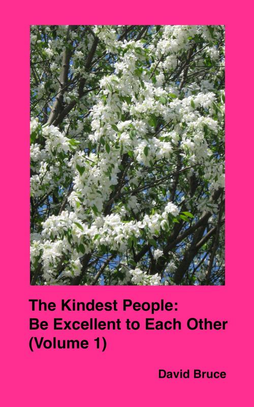 Cover of the book The Kindest People: Be Excellent to Each Other (Volume 1) by David Bruce, David Bruce
