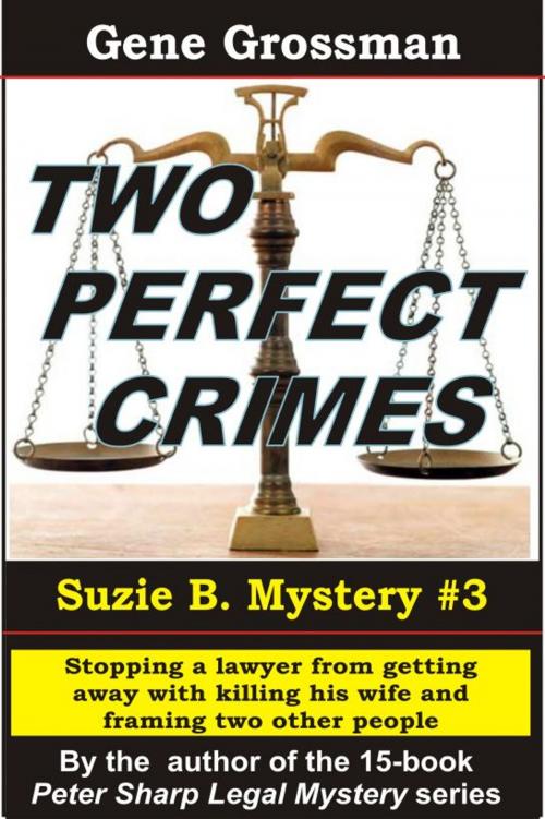 Cover of the book Two Perfect Crimes: Suzi B. Mystery #3 by Gene Grossman, Magic Lamp Press