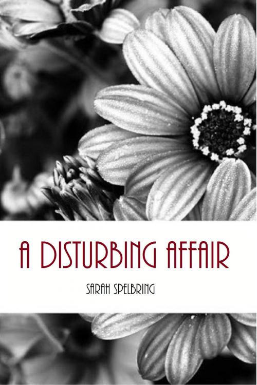 Cover of the book A Disturbing Affair by Sarah Spelbring, Sarah Spelbring
