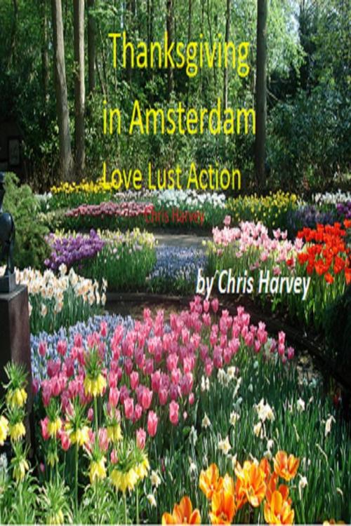 Cover of the book Thanksgiving in Amsterdam by Chris Harvey, Chris Harvey