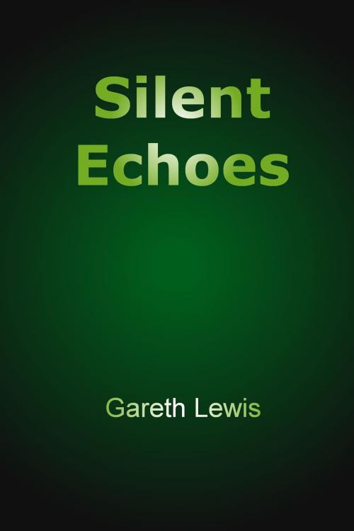 Cover of the book Silent Echoes by Gareth Lewis, Gareth Lewis