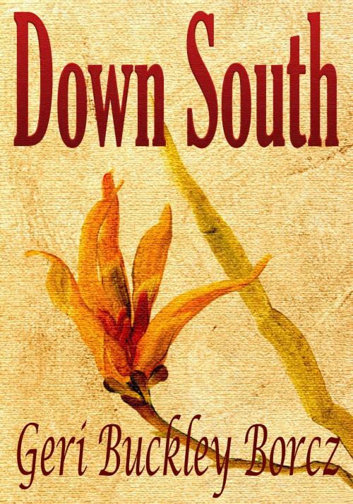 Cover of the book Down South by Geri Buckley Borcz, Geri Buckley Borcz