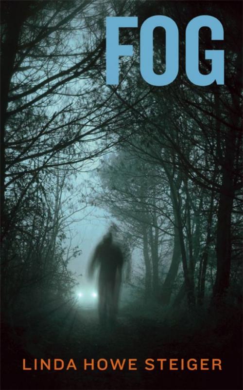 Cover of the book Fog by Linda Howe Steiger, Linda Howe Steiger