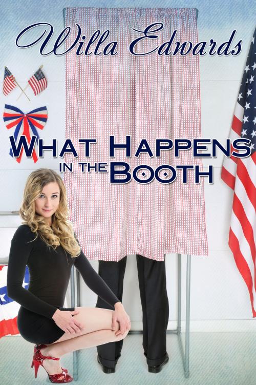 Cover of the book What Happens in the Booth by Willa Edwards, Willa Edwards
