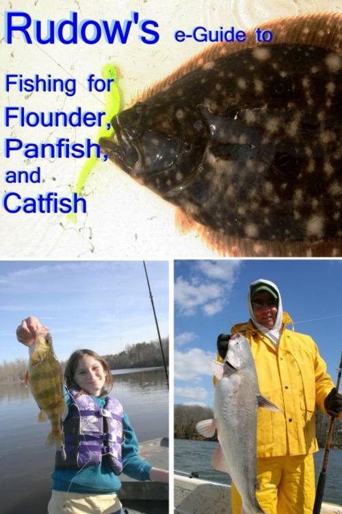 Cover of the book Rudow's e-Guide to Fishing for Flounder, Panfish, and Catfish by Lenny Rudow, Lenny Rudow