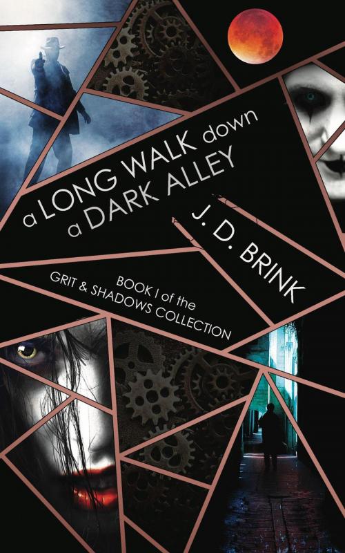 Cover of the book A Long Walk Down a Dark Alley by J. D. Brink, Fugitive Fiction