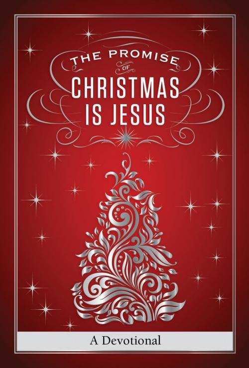 Cover of the book The Promise of Christmas is Jesus by Jack Countryman, Thomas Nelson