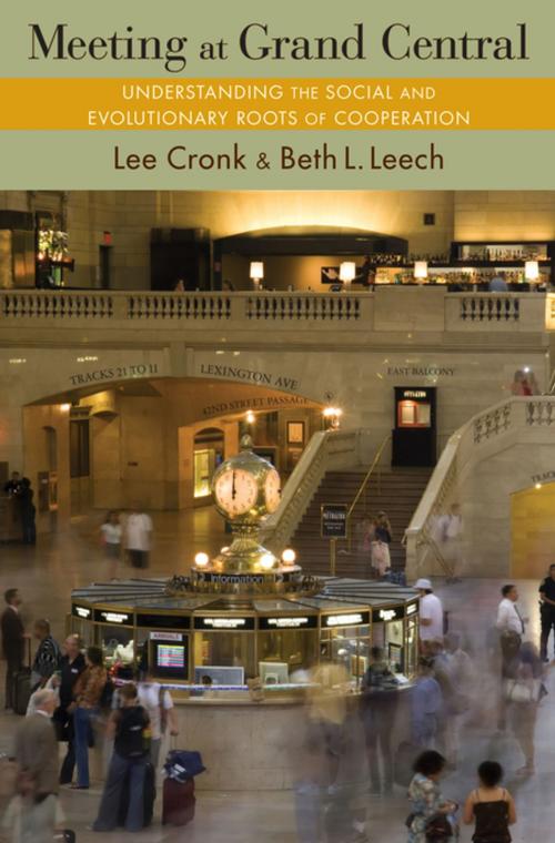 Cover of the book Meeting at Grand Central by Lee Cronk, Beth L. Leech, Princeton University Press