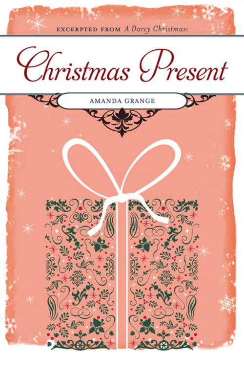 Cover of the book Christmas Present by Amanda Grange, Sourcebooks