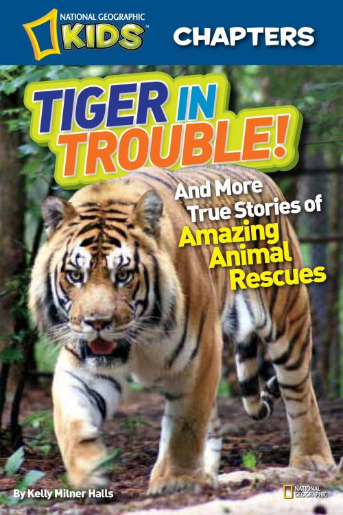 Cover of the book National Geographic Kids Chapters: Tiger in Trouble! by Kelly Milner Halls, National Geographic Society