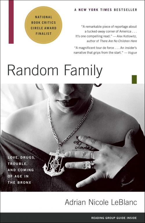 Cover of the book Random Family by Adrian Nicole LeBlanc, Scribner
