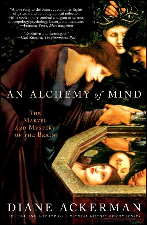 Cover of the book An Alchemy of Mind by Diane Ackerman, Scribner