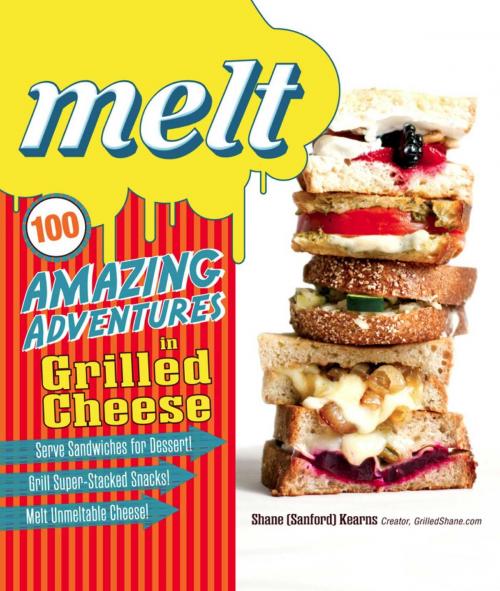 Cover of the book Melt by Shane Sanford Kearns, Adams Media