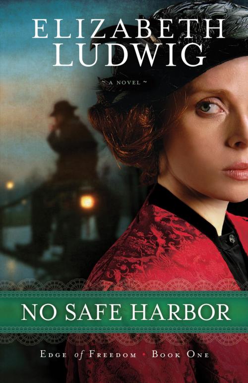 Cover of the book No Safe Harbor (Edge of Freedom Book #1) by Elizabeth Ludwig, Baker Publishing Group