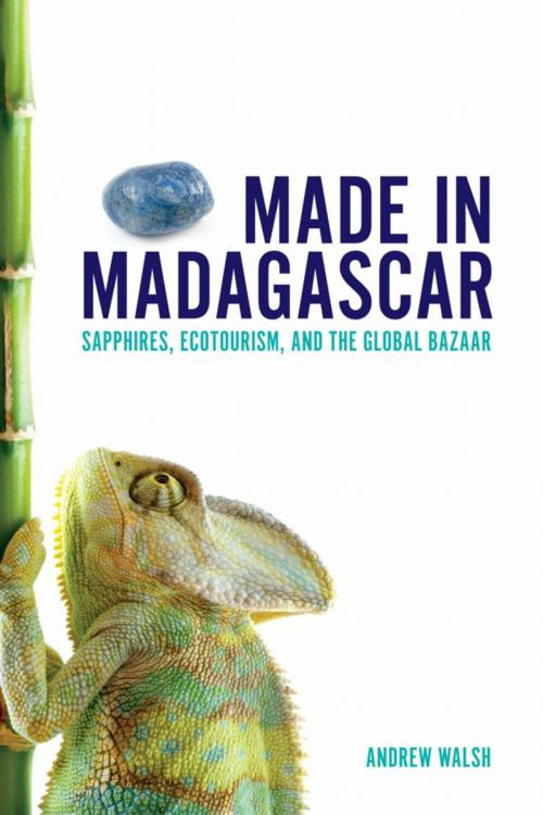 Cover of the book Made in Madagascar by Andrew Walsh, University of Toronto Press, Higher Education Division