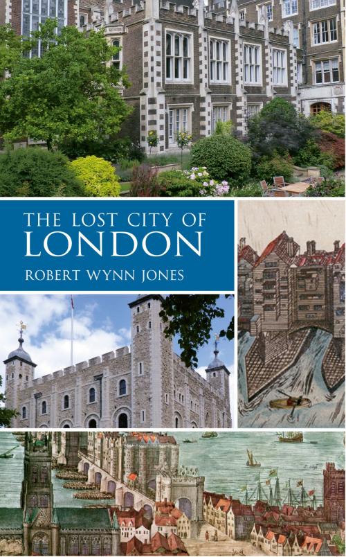Cover of the book The Lost City of London by Robert Wynn Jones, Amberley Publishing