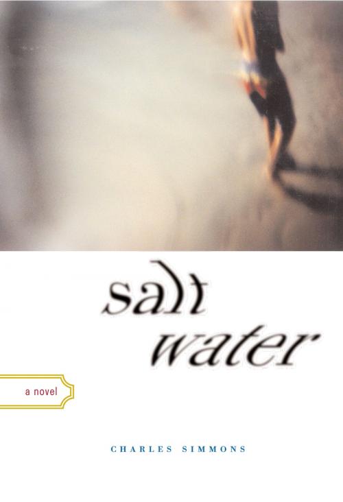 Cover of the book Salt Water by Charles Simmons, Chronicle Books LLC