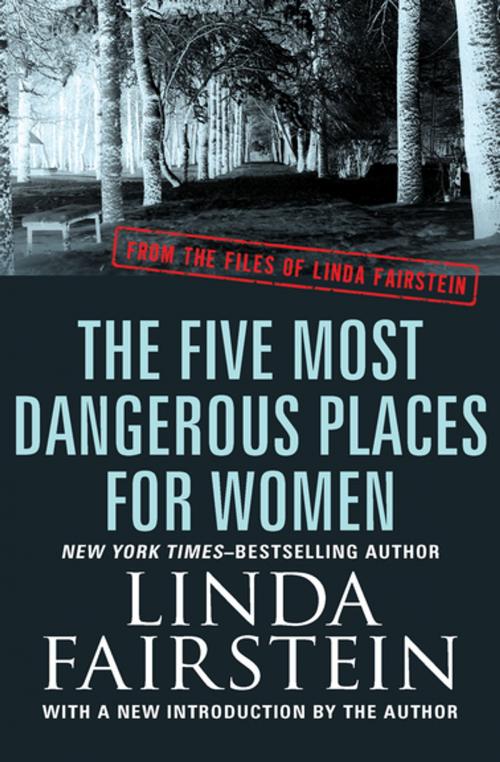 Cover of the book The Five Most Dangerous Places for Women by Linda Fairstein, Open Road Media