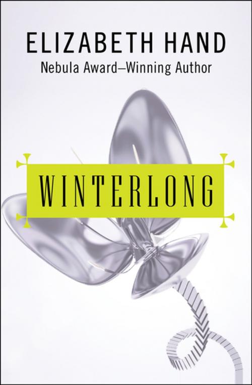 Cover of the book Winterlong by Elizabeth Hand, Open Road Media