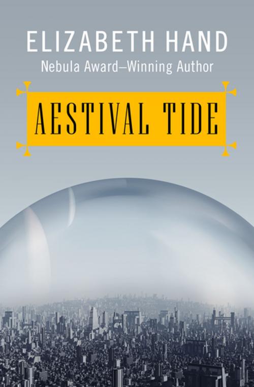 Cover of the book Aestival Tide by Elizabeth Hand, Open Road Media